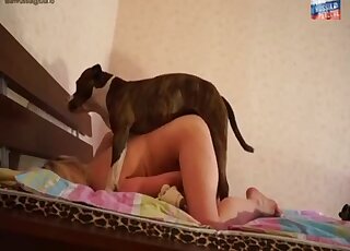 Curvy blonde MILF gets sexually dominated by randy Pit Bull