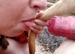 Dog dick is shooting jizz in girl's mouth after passionate sucking