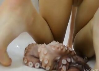 Solo amateur girl used sticky squid for pussy stuffing pleasure