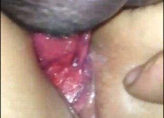 Close-up on delicious wet pussy while stuffed by canine dick