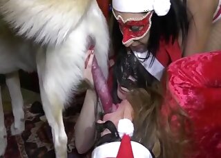 Endowed dog crashed Xmas party and joined lusty babes for group sex