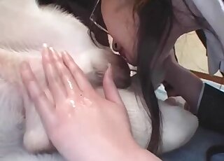 Lazy Labrador gets a blowjob from a Japanese business lady