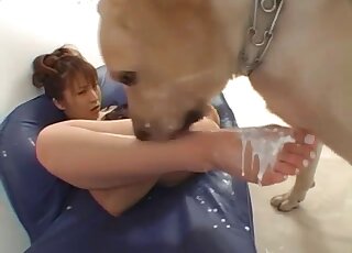 Japanese MILF has hairy pussy covered in cream for randy black Lab