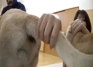 Japanese girl dives into nasty zoo threesome with white Labradors