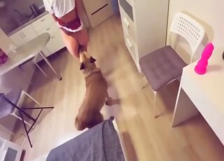 Badass shades babe getting fingered and fucked by a big dick doggo