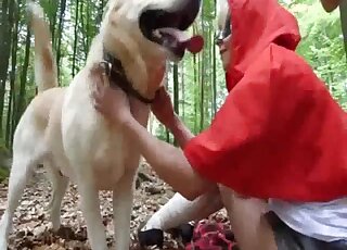 Attractive Red Riding Hood cosplayer fucking a sexy dog while outdoors