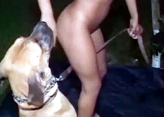 Naked chick makes sure her dog licks her wet pussy hole