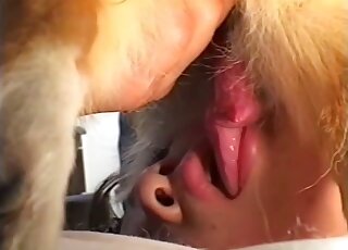 Adorable Asian lady enjoys closeup fucking with a dog that loves oral