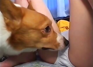 Yellow get-up Japanese chick shows how wet she is for a kinky dog