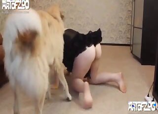 Black dress babe bends over to let this dog fuck her on all fours