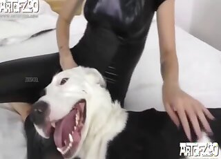Black bodysuit babe getting licked by a black and white animal too