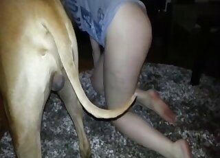 Blonde amateur leaves dog hump her ass from behind in superb home XXX