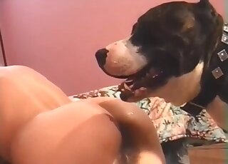 Blonde with with hairy pussy leaves the dog work her clit and ass