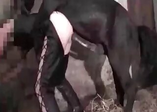 Zoophile enjoys being fucked hard by an aroused horse's hard shaft