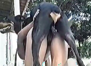 Brazilian slut moans loudly while being fucked by a black doggie