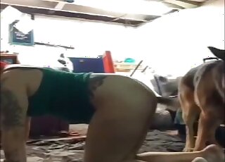 Big ass wife homes fucked by the dog in sexy cam scenes