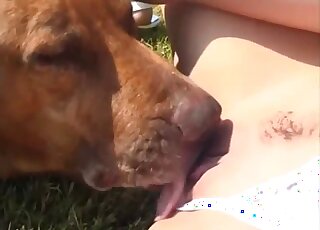 Special outdoor masturbation with the dog also licking her pink fanny