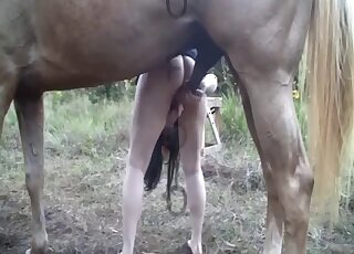 Horse's monster dick leads thirsty amateur woman to supreme XXX