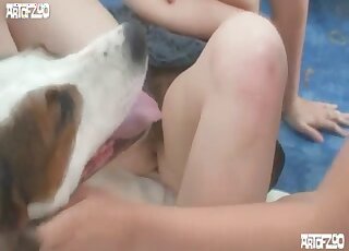 Dog pleases nake amateur slut with perfect cunnilignus