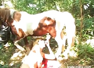 Blonde whore throats the wet horse's cock until sperm floods her tits