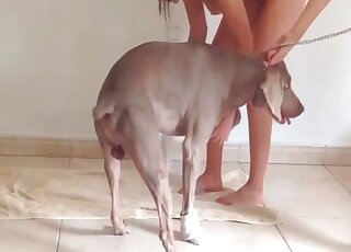 Tight bitches wait their turn to fuck with the dog and enjoy zoophilia