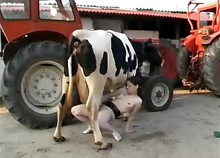 Hot amateur slut milks cow to cover her needy cunt and clit