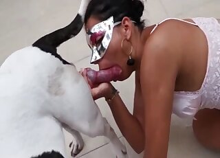 Latina female filmed trying the dog's penis in multiple XXX perversions