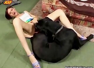 Rough anal with a dog leads thin wife to shivering orgasms