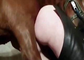 XXX zoo porn takes place inside stables with a horny bitch and horse