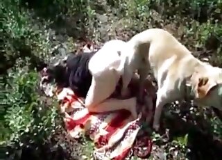 Outdoors XXX session with a doggie that fucks horny bitch from behind