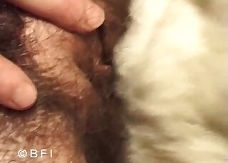 MILF with hairy cunt loads pussy with endless dog cock in rough XXX