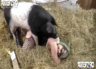 Pig fucks tight blonde whore in sexy fishnets and comes in her ass