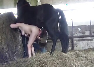 Ruthless horse porn leads busty amateur woman to screaming pleasures