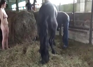 Horse porn makes busty amateur woman lose control