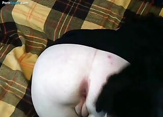 Big ass mature slut tries stiff dog dick in her tiny ass