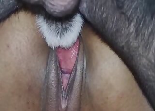 Dirty dog porn on cam with a blonde slut avid to swallow
