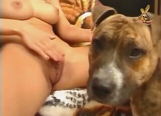 Dirty cam perversions with zoophilia and masturbation combined