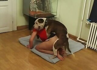 Fantasy oral porn with the dog turns the whole scene into a wild zoo shag