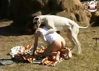 Big dog fucks amateur woman's wet cunt in sunny outdoor XXX scenes