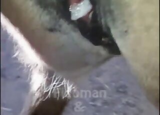 Guy showing his hairy cock as he fucks this gorgeous mare from behind