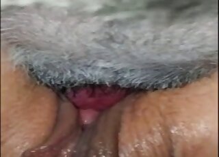 Large pussy lips showcased in a porno with a sexy animal in UHD