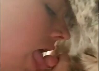Chick with a pretty face puts this dog's cock in her mouth to suck it