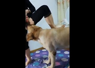 Striking lady dressed in all black lets a dog fuck her up here