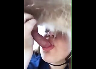 Dirty-talking blonde gives this dog a nice close-up blowjob here