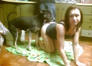 Inventive doggystyle fuck scene featuring a dark-haired zoophile wife