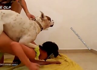 Black-haired vixen goes on all fours to let the dog lick her pussy