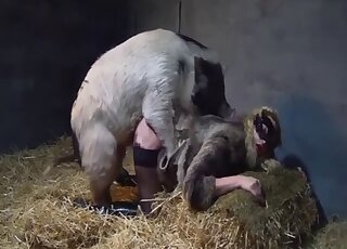 Pale-skinned and sexy-looking babe is going to bang a hung boar