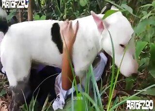 White dog is ready to fuck a wayward schoolgirl while outdoors