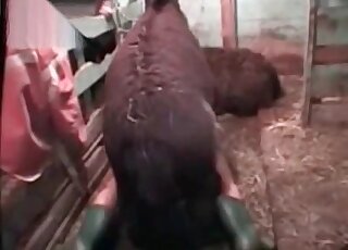 Nasty zoophile tries new types of hot fucking during kinky zoo porn