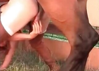 Mighty colt uses its huge cock in order to please insatiable lust of a babe